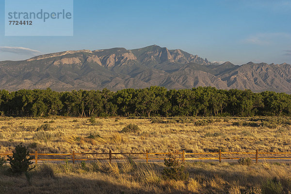 Vereinigte Staaten von Amerika  USA  nahe  Berg  Albuquerque  New Mexico