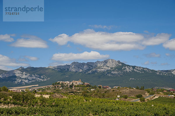 Mittelalter  Dorf  Ansicht  Laguardia  Spanien