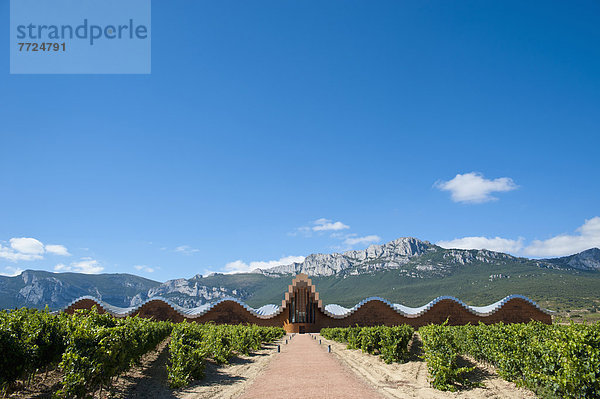 Weingut  Wahrzeichen  Architekt  Design  Laguardia  Spanien  spanisch