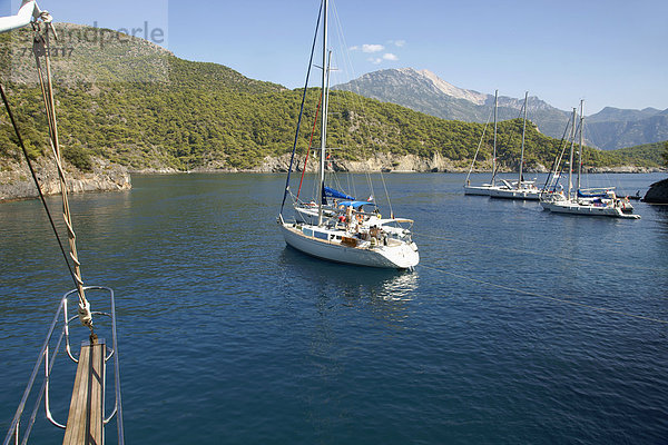 Pleasure Cruise Boats From Oludeniz  In Coldwater Bay  The Turquoise Coast  Southern Turkey