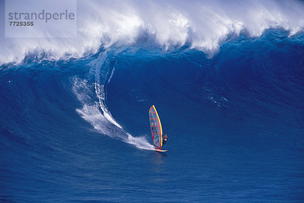 Windsurfer  surfer  entfernt  fahren  groß  großes  großer  große  großen  Hawaii  Maui  Wasserwelle  Welle