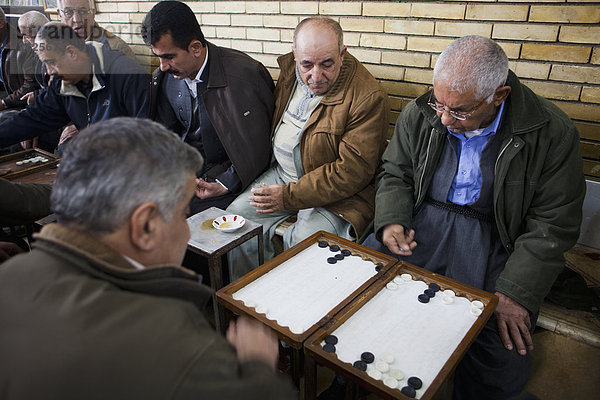 Mann  Spiel  Backgammon  Teehaus  Irak