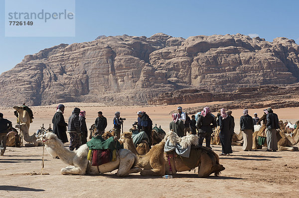 Außenaufnahme  warten  Tourist  Wüste  camping  Naher Osten  Kapitän  Beduine  Kamel  Wadi Rum