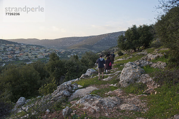 zwischen  inmitten  mitten  nahe  folgen  Baum  Dorf  wandern  vorwärts  Olive  Naher Osten