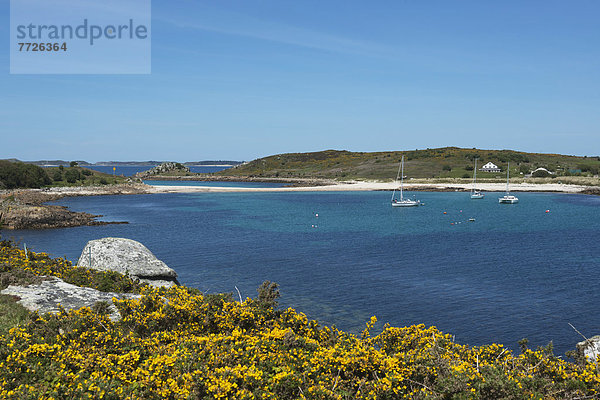 zeigen  Europa  sehen  Großbritannien  Sand  Insel  Cornwall