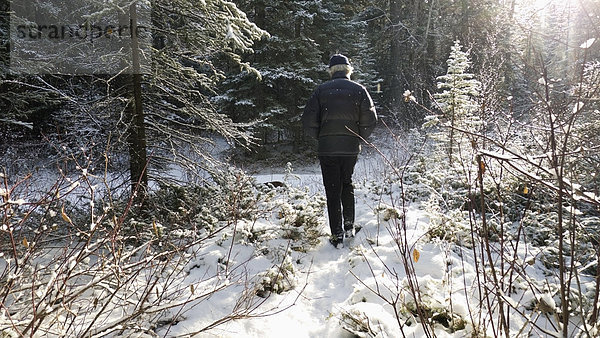 Helligkeit  Winter  Mann  Tag  gehen  Schnee  Wald  Sonnenlicht  Canmore  Alberta  Alberta  Kanada