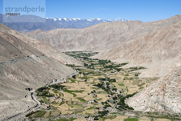 Berg Tal Feld Ansicht Gerste Indien