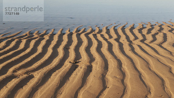 Muster  Strand  Sand  Afrika  Marokko