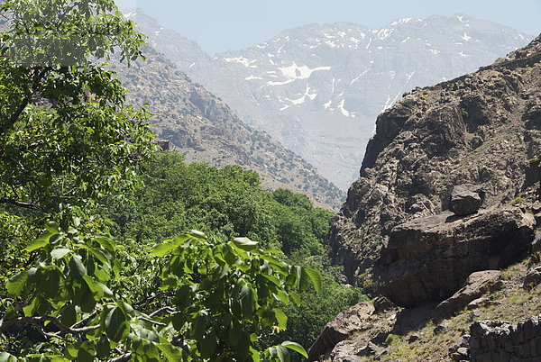 hoch  oben  Berg  sehen  Tal  Reise  Afrika  Marokko