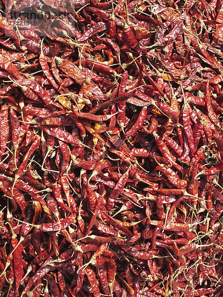 Red chillies drying  allepey kerala south india