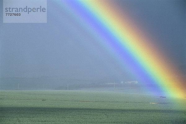 über  Feld  Stück  Hawaii  Maui  Regenbogen