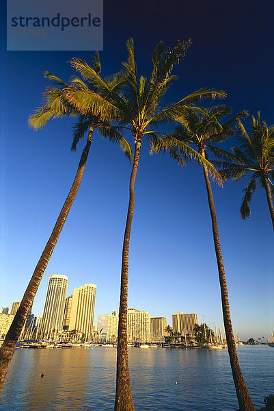 Fischereihafen Fischerhafen Skyline Skylines Tag Ansicht Hawaii Oahu Waikiki