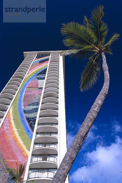 blauer Himmel  wolkenloser Himmel  wolkenlos  Palme  Dorf  Ansicht  eckig  Hawaii  hawaiianisch  Oahu  Waikiki