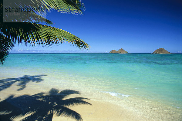 Wasser  Strand  Ruhe  Schatten  Hintergrund  Insel  Fokus auf den Vordergrund  Fokus auf dem Vordergrund  türkis  Farn  Hawaii  Oahu