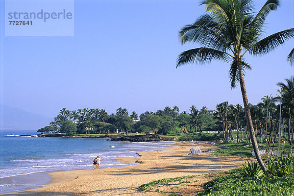 Palme Küste Netz Volleyball vorwärts Hawaii Maui