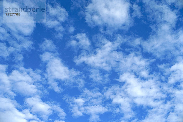 Puffs Of Small Clouds  Alto-Cumulus Scattered In Blue Sky
