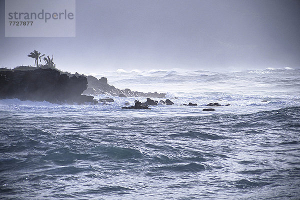 Sturm  Küste  Meer  Silber  Bucht  Hawaii  North Shore  Oahu  Waimea