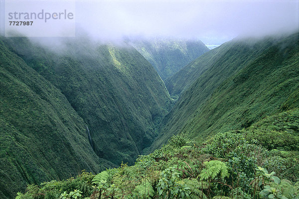 Hawaii  Big Island  Wolke  Farn  Wasserfall  Hawaii