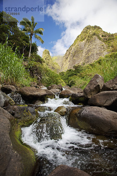 Hawaii  Maui