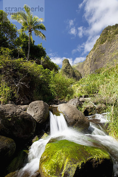 Hawaii  Maui