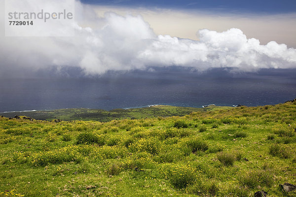 Helligkeit  Wolke  Himmel  Ozean  Überfluss  Feld  blau  Ansicht  Hawaii  Maui