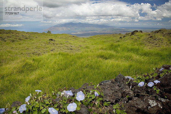 Steinmauer  Fernverkehrsstraße  Hawaii  Maui