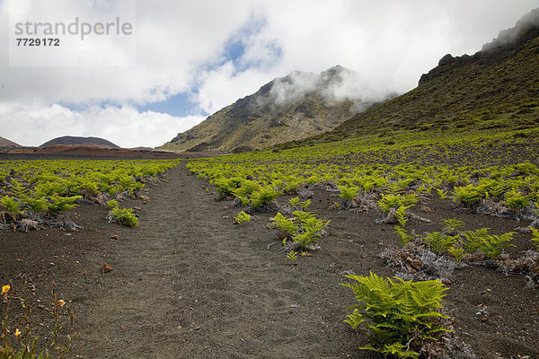 Haleakala  East Maui Volcano  folgen  Vulkan  wandern  Krater  Hawaii  Maui