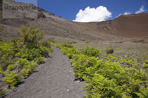 Haleakala  East Maui Volcano  folgen  Vulkan  wandern  Krater  Hawaii  Maui