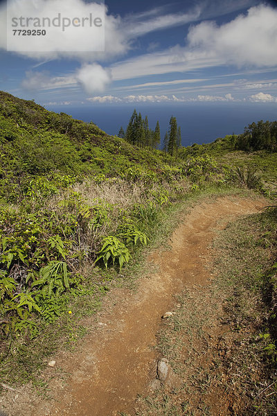 hoch  oben  Wasserrand  Ansicht  Hawaii  Maui