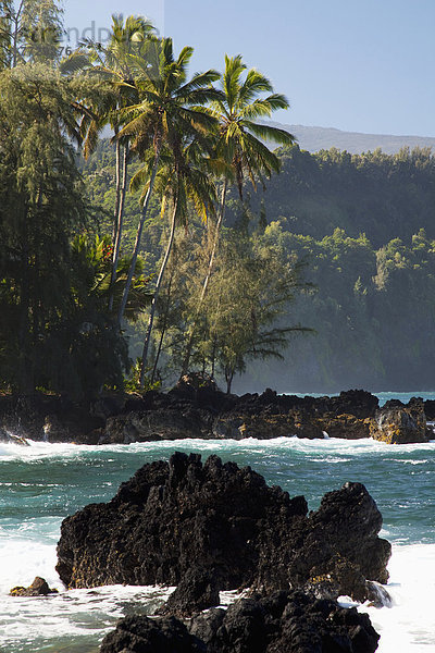 Hawaii  Maui