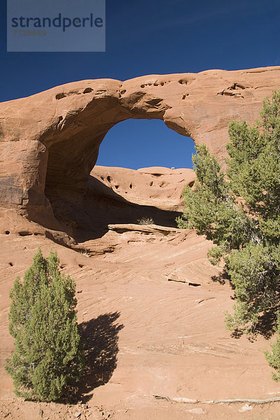 Arizona  Monument Valley