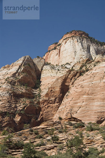 nahe  Landschaftlich schön  landschaftlich reizvoll  Bundesstraße  Berg  Zion Nationalpark  Kamel  Utah