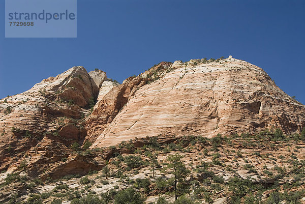 Landschaftlich schön  landschaftlich reizvoll  Bundesstraße  vorwärts  Berg  Zion Nationalpark  Kamel  Utah