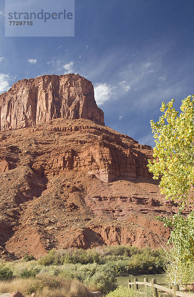 Vereinigte Staaten von Amerika  USA  Farbaufnahme  Farbe  drehen  Baum  groß  großes  großer  große  großen  Spitzkoppe Afrika  Moab  Utah