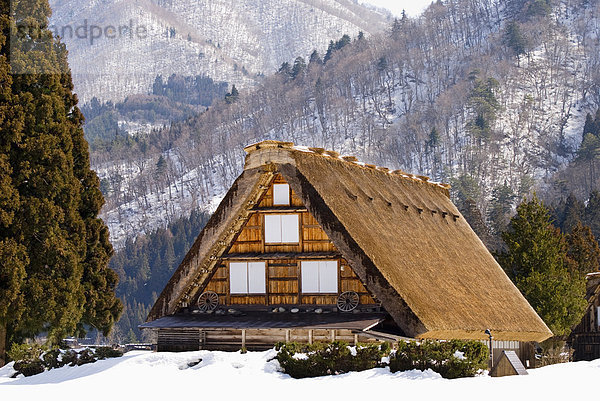 Dach Winter Tradition Wohnhaus Dorf Reetdach Gifu Japan japanisch