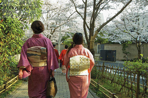 Frau  gehen  Straße  Tokyo  Hauptstadt  Kirsche  blühen  2  Japan  japanisch