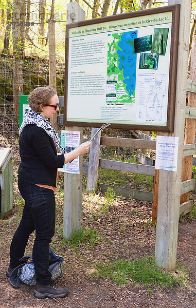 Elch  Alces alces  Landkarte  Karte  Insel  Navigation  Alberta  Kanada