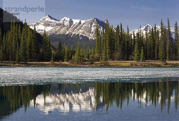Berg  Himmel  Spiegelung  See  blau  bedecken  Alberta  Kanada  Schnee