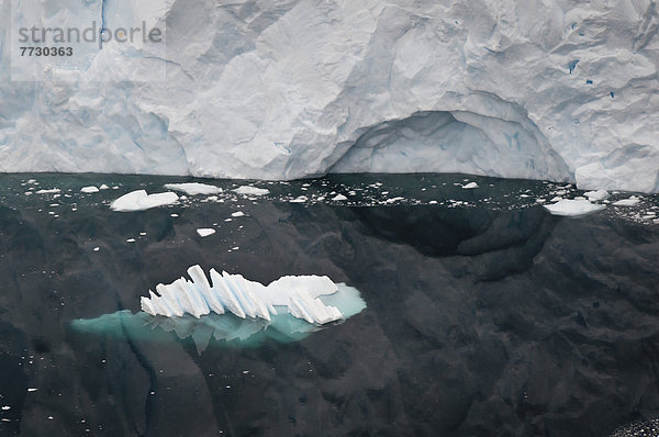 Wasser  Küste  Spiegelung  Gletscher  vorwärts  Antarktis