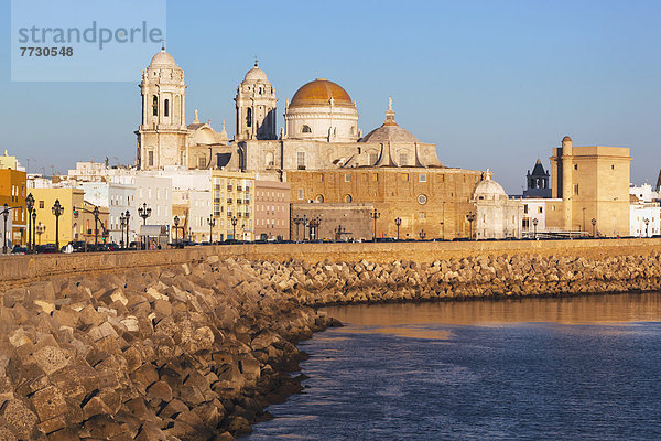 Cadiz Cathedral  Cadiz Cadiz Province Andalusia Spain