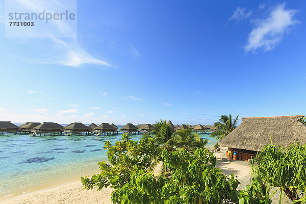 französisch  Insel  Urlaub  Spa  Pazifischer Ozean  Pazifik  Stiller Ozean  Großer Ozean  Lagune  Polynesien