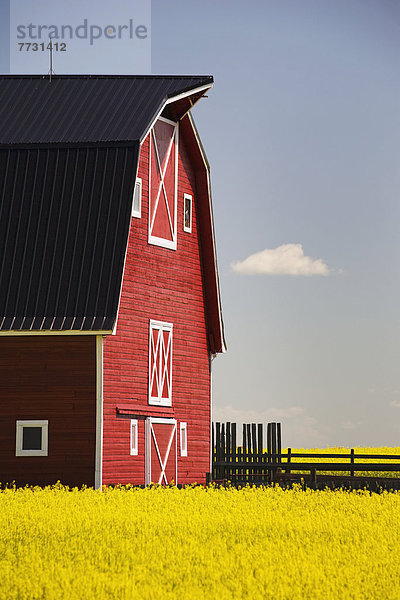 Wolke Blume Himmel Fluss frontal Feld Scheune blau rot Canola