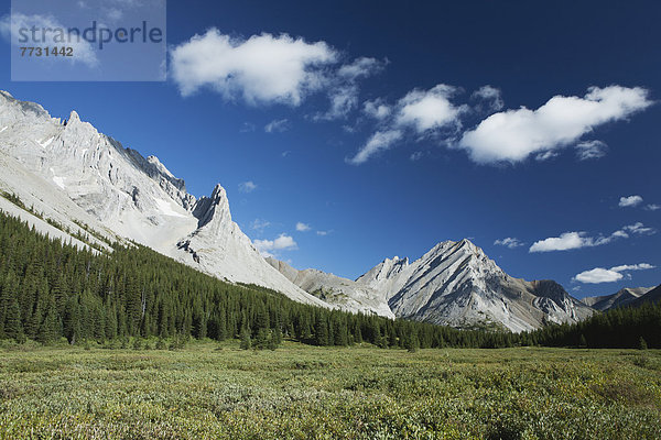 Berg  Wolke  Baum  Himmel  blau  Wiese  Rahmen  Ländliches Motiv  ländliche Motive  Kananaskis Country