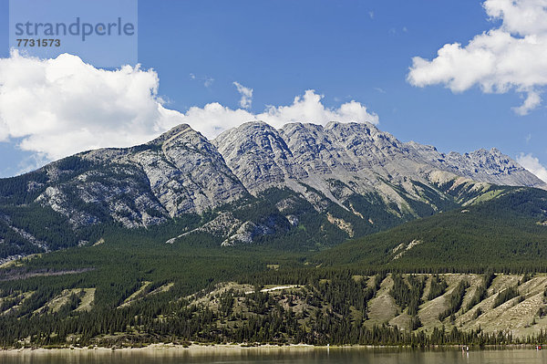 Berg  Küste  See