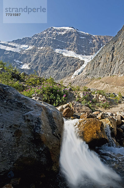 Mount Edith Cavell