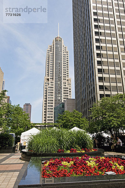 Städtisches Motiv  Städtische Motive  Straßenszene  Straßenszene  Amerika  Blume  Himmel  Pflanze  Hochhaus  Garten  blau  Verbindung  Chicago  Illinois