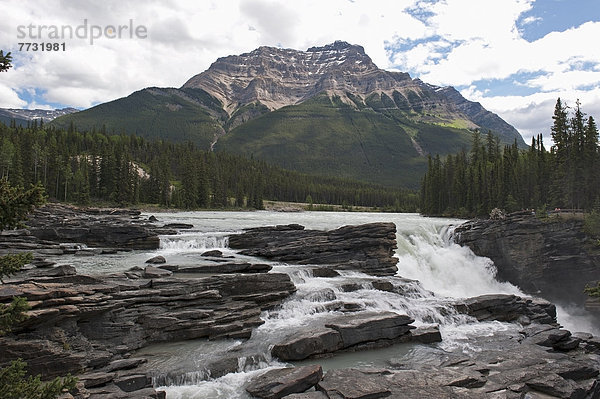 Athabasca Falls  Alberta Canada