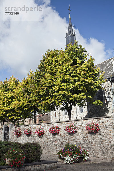 Steinmauer  Blume  hängen  Hintergrund  Kirche  Kirchturm  Dekoration