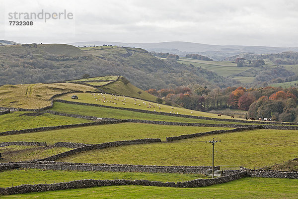 Großbritannien  Derbyshire  England