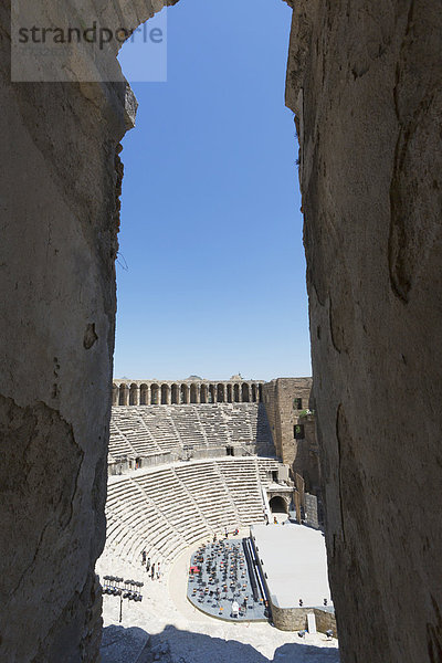 Truthuhn  Aspendos  Türkei